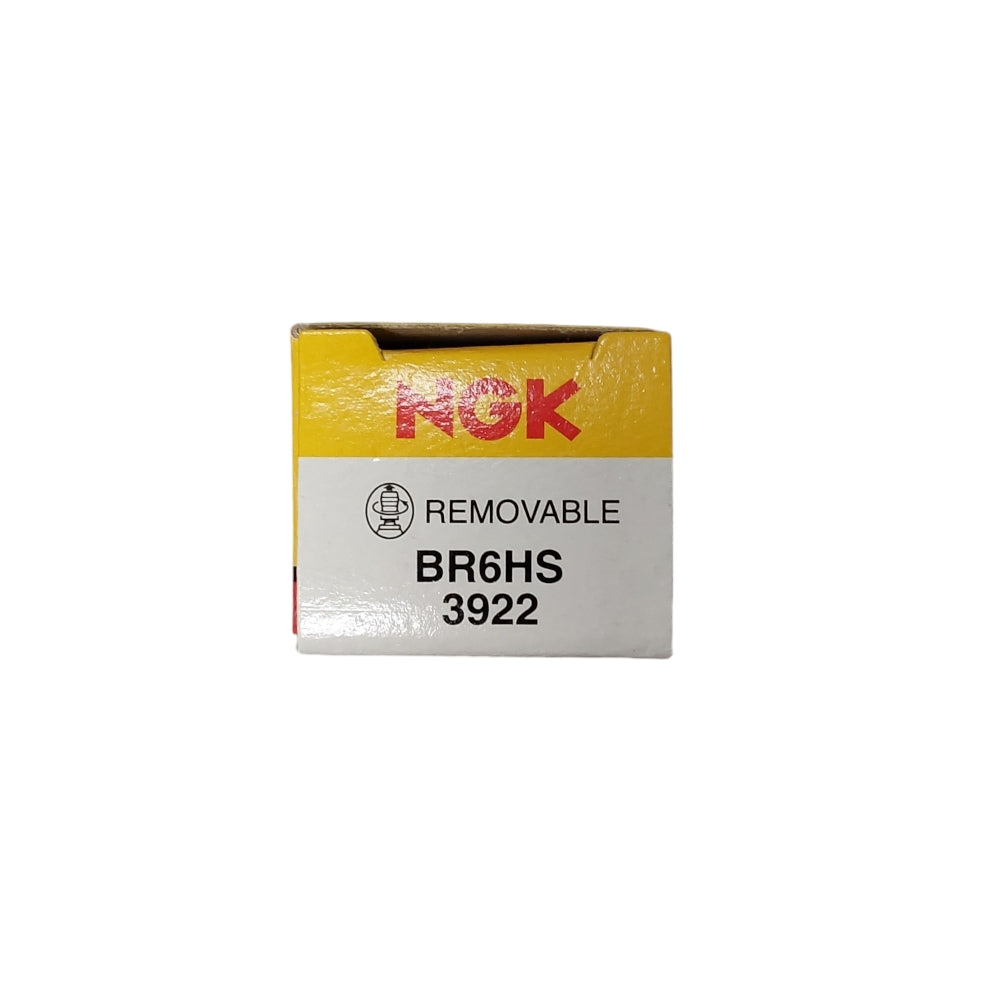 NGK Spark Plug B6HS, 7534 BR6HS Fits Champion L86C