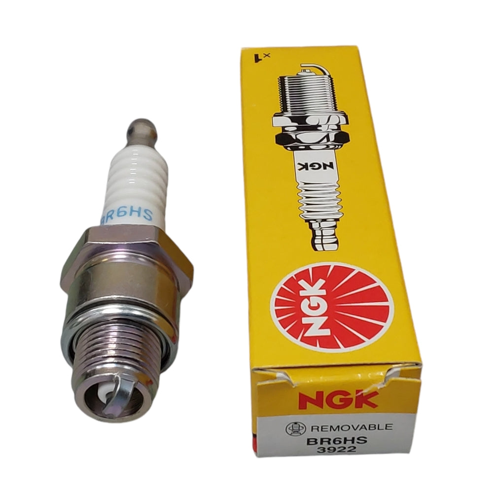 NGK Spark Plug B6HS, 7534 BR6HS Fits Champion L86C