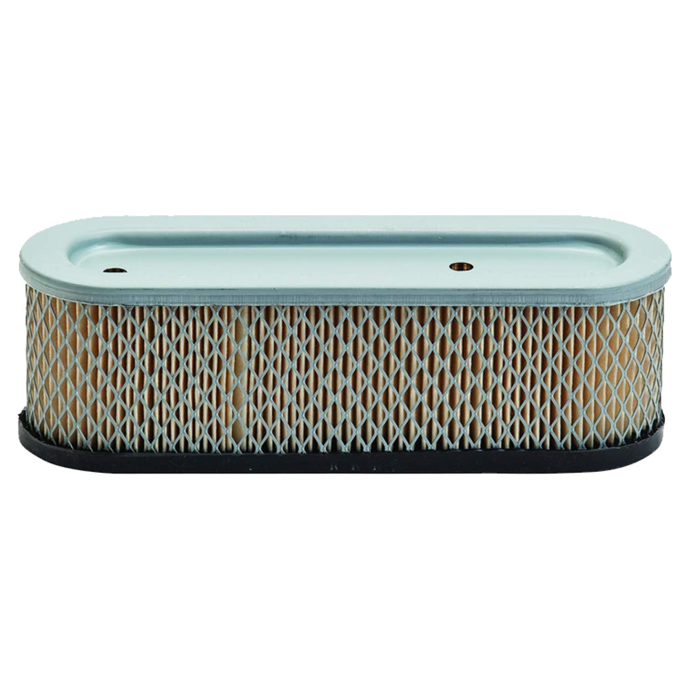 Proven Part Air Filter Fits Briggs & Stratton 399806S 399806