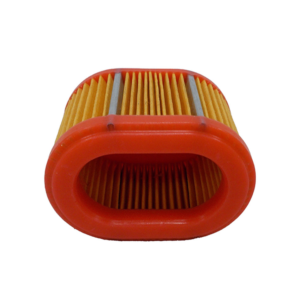 Proven Part Air Filter Fits Briggs & Stratton 790166