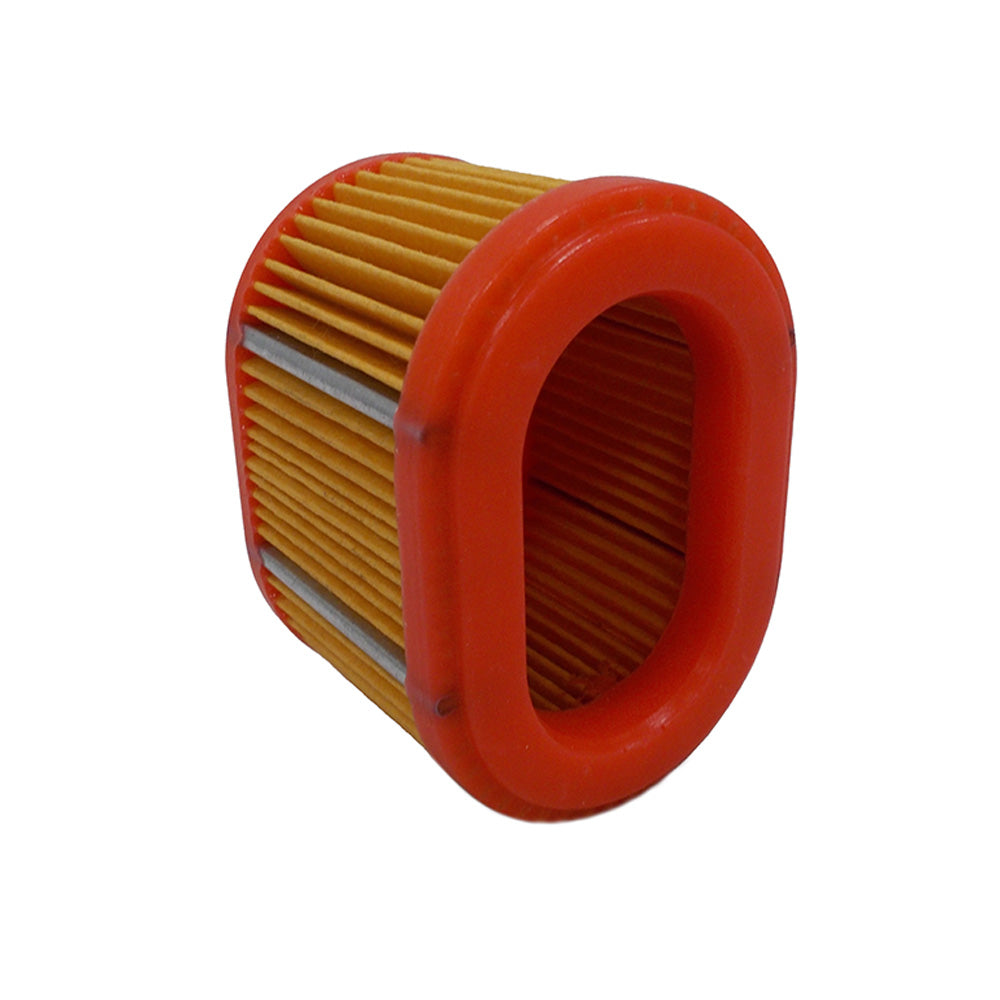 Proven Part Air Filter Fits Briggs & Stratton 790166