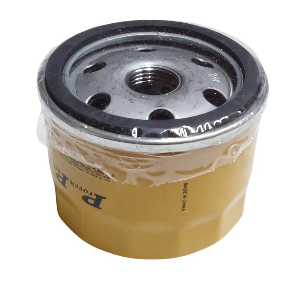 Extended Life Oil Filter Fits Briggs & Stratton 696854 795890 695396 92134GS