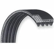 Belts - Rib Belts | Proven Part