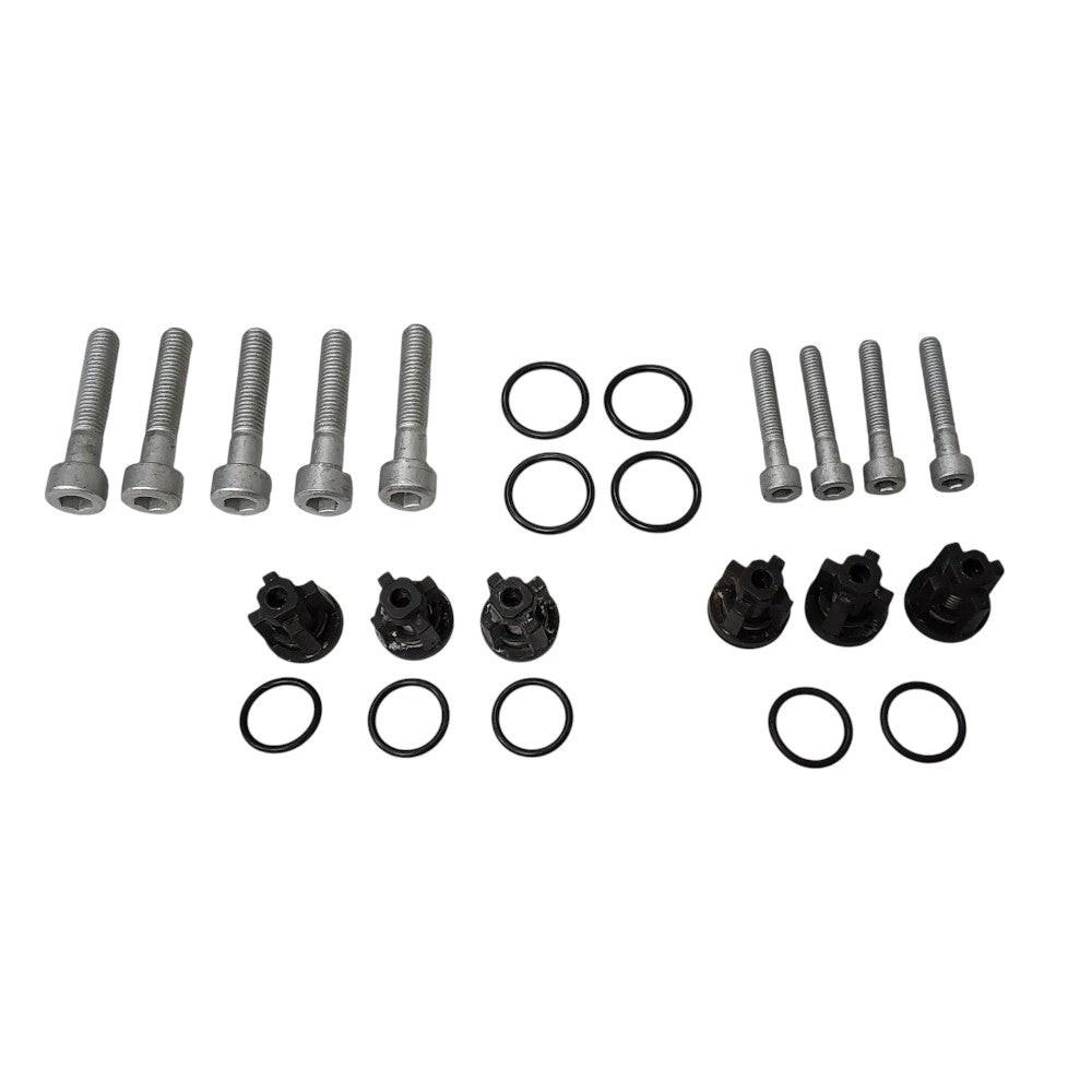 Genuine Briggs Check Valve Kit 193806GS Fits 020200-0, 020201-0, 020202-0