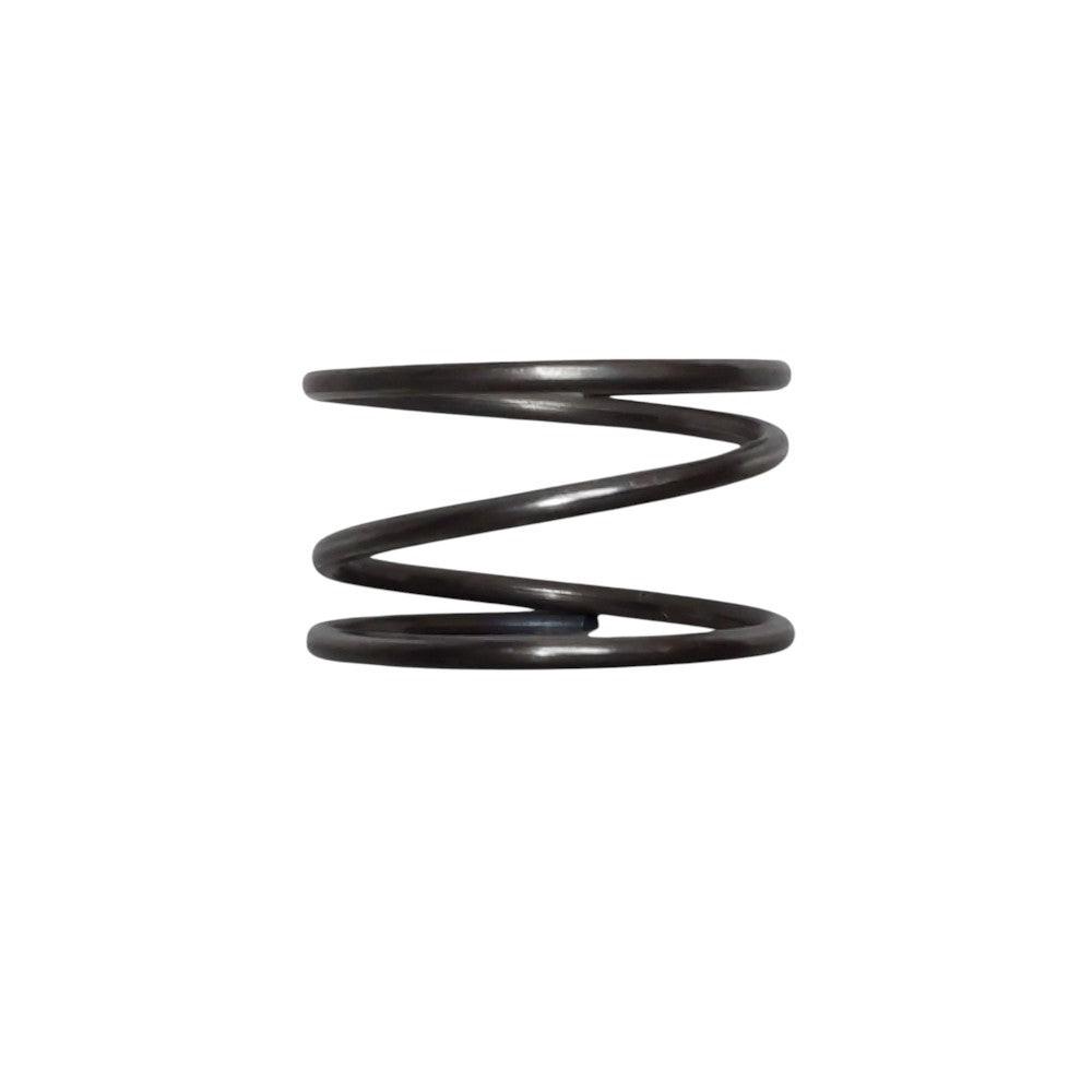 Genuine Bedford Spring 23-1648 Fits Graco 161-575, Senator 22:1, 30:1