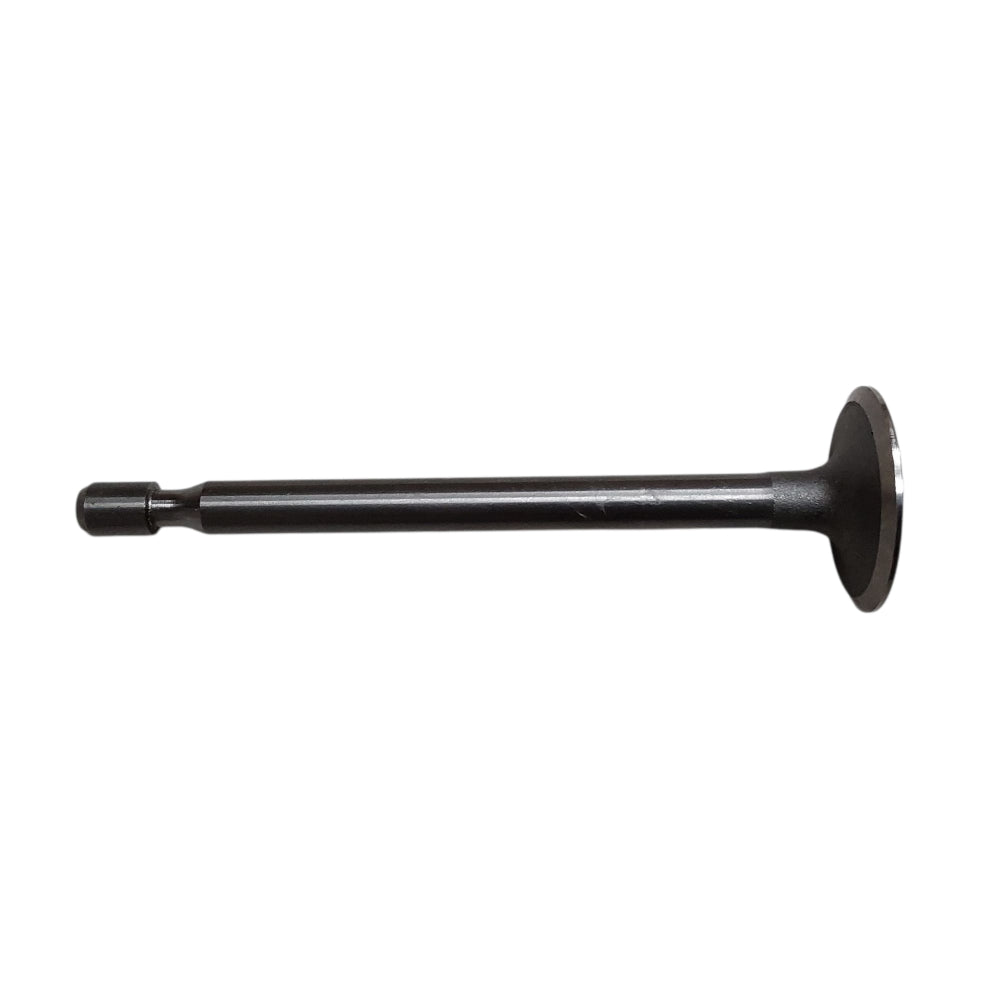 Genuine Briggs Intake Valve 261055S Fits 192402, 192407, 192412, 192417, 192432
