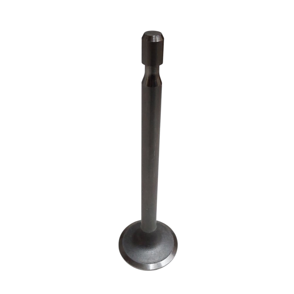 Genuine Briggs Intake Valve 261055S Fits 192402, 192407, 192412, 192417, 192432