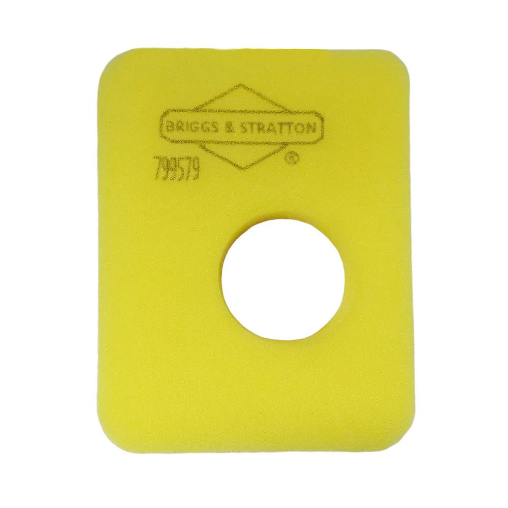 Briggs & Stratton Air Filter 799579 Fits 09P602 09P702 08P502